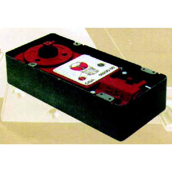 ΜΗΧΑΝΙΣΜΟΙ ΔΑΠΕΔΟΥ CISA