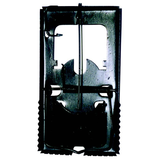 ΠΟΝΤΙΚΟΠΑΓΙΔΕΣ (1) 175*95 ΚΙΝΑ