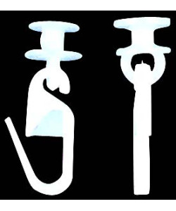 ΡΑΟΥΛΑ ΠΑΡΑΜΑΝΑ ΑΛΟΥΜ ΣΤΡΟΓΓΥΛ