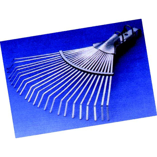 ΣΚΟΥΠΕΣ.Τ-VANESSA ΡΥΘΜ Χ-ΚΟΝΤ