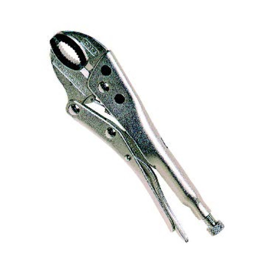 ΣΚΥΛΕΣ ΤΟΡΜΑΝ 250ΜΜ (10)