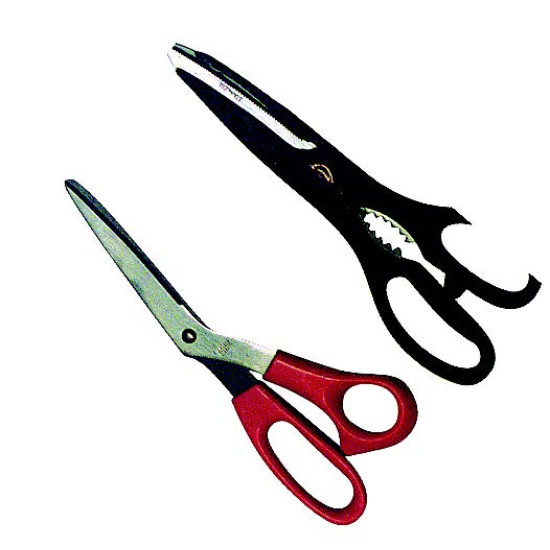 ΨΑΛΙΔΙΑ (Β)"ΟΙΚΟΚΥΡΩΝ TAIWAN