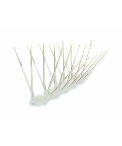 ΑΛΕΞΙΠΕΡΙΣΤΕΡΑ ΠΟΛΥΚΑΡΒΩΝΙΚΟ