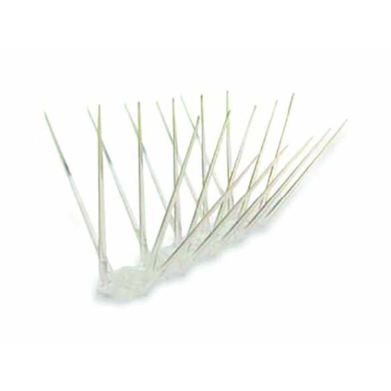 ΑΛΕΞΙΠΕΡΙΣΤΕΡΑ ΠΟΛΥΚΑΡΒΩΝΙΚΟ